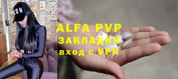 spice Богородицк