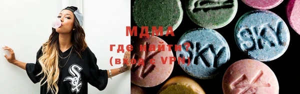 spice Богородицк