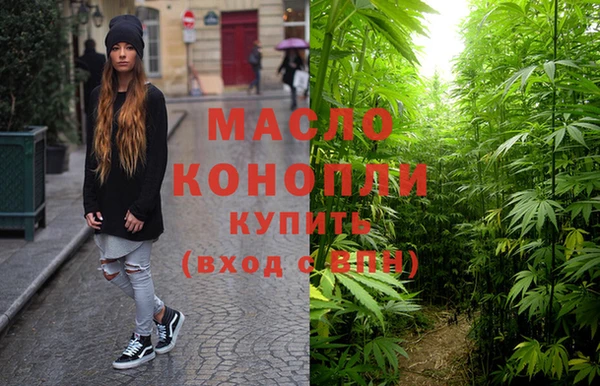 spice Богородицк