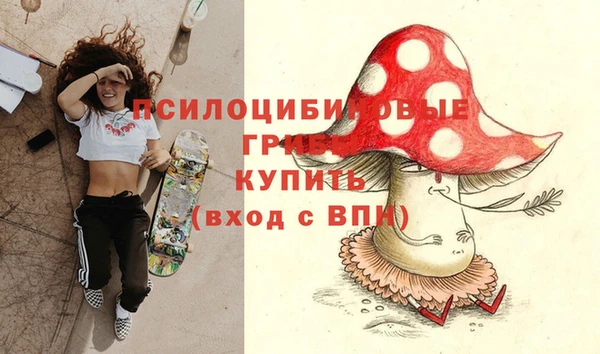 spice Богородицк