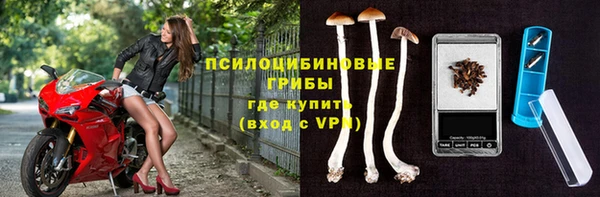 spice Богородицк