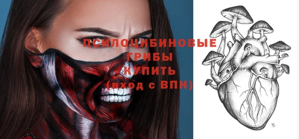 spice Богородицк